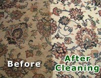 Carpets Steam Cleaned 354396 Image 7